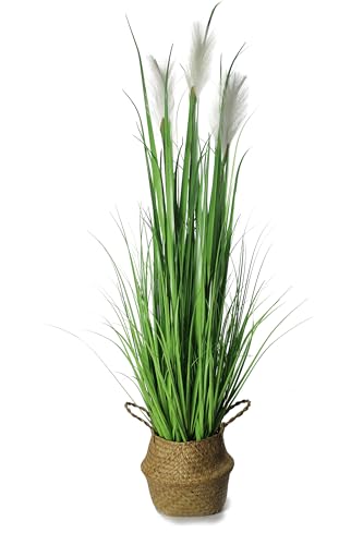 Kunstgras 120 cm hoch mit Seegraskorb Dekogras Gräser künstliche Pampas Deko Kunstpflanze künstliche Pflanze Grün Wohnzimmerdeko Kunstgras 120 cm hoch mit Seegraskorb Dekogras Gräser künstliche Pampas Deko Kunstpflanze künstliche Pflanze Grün Wohnzimmerdeko von Arnusa