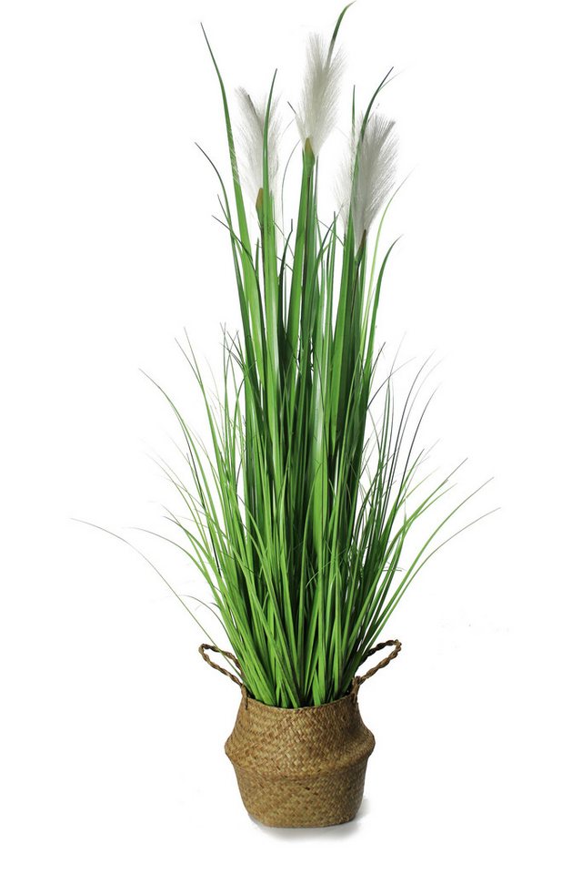 Kunstgras Dekogras künstliche Pflanze Gräser mit Seegraskorb Deko Kunstpflanze Gras, Arnusa, Höhe 120 cm, Pampas von Arnusa