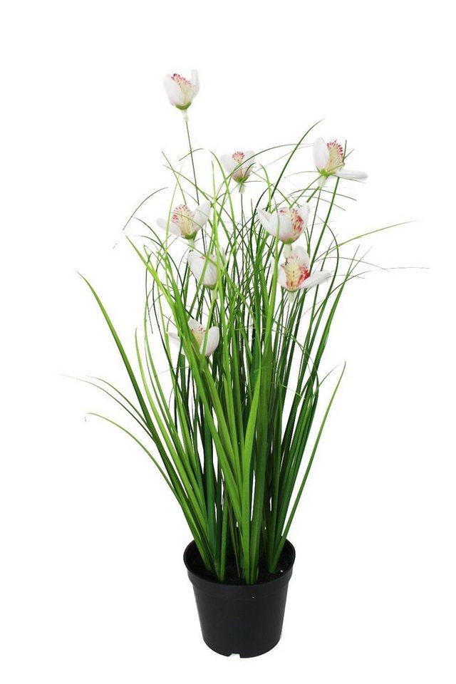 Kunstgras Künstliches Deko Gras 40 cm mit Blüten Gras, Arnusa, Höhe 40 cm, Kunstpflanze im Topf künstliche Pflanze von Arnusa