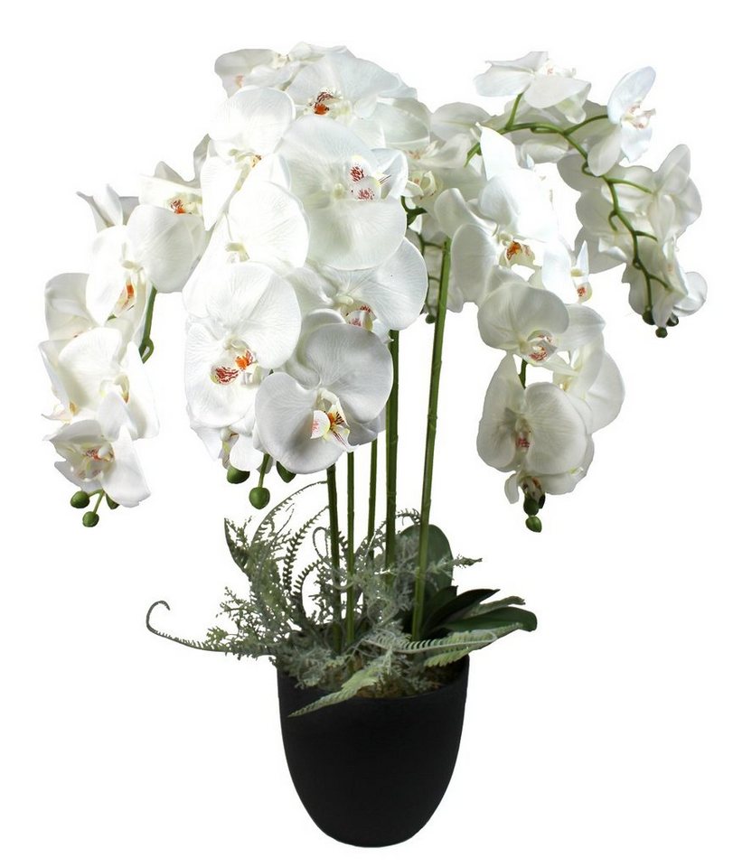 Kunstorchidee Kunstpflanze KP8100 Orchidee Weiß, Arnusa, Höhe 110 cm, XXL fertig im Topf von Arnusa