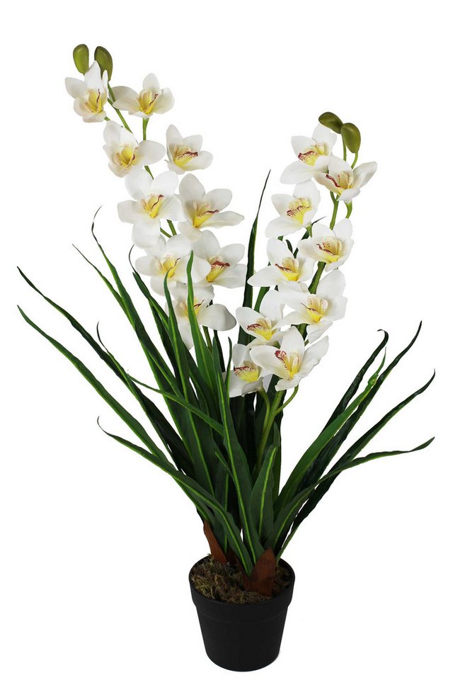 Kunstorchidee künstliche Orchidee Groß mit Kunstgras im Topf Zimmerpflanze Orchidee, Arnusa, Höhe 85 cm, wie echt real Touch von Arnusa