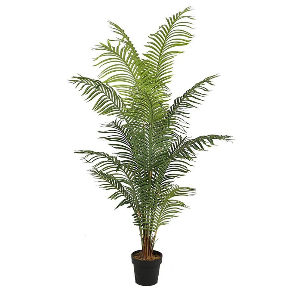 Kunstpalme KP102 Kunstpflanze 180 cm Palme, Arnusa, Höhe 180 cm, große künstliche Palme Pflanze im Topf von Arnusa