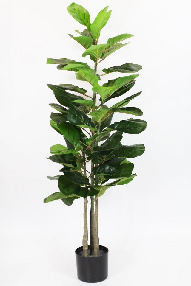 Kunstpflanze KP392 Ficus Lyrata, Arnusa, Höhe 115 cm, Real-Touch, fertig im Topf von Arnusa
