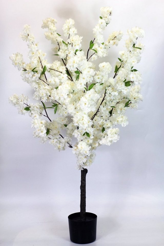 Kunstpflanze Künstlicher Kirschbaum weißer Kirschblütenbaum, Arnusa, Höhe 120 cm, Fertig im Topf von Arnusa