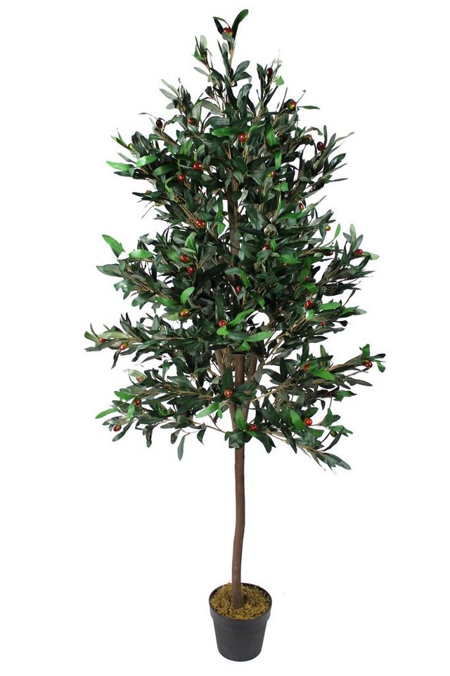 Kunstpflanze künstlicher Olivenbaum Premium 2070 Blätter Echtholzstamm Olive, Arnusa, Höhe 185 cm von Arnusa