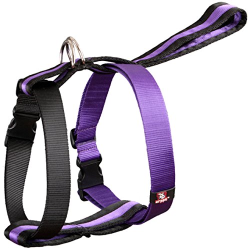 Arppe 222904010121 Gepolsterte Harness Nylon mit Gurt Auto, Schwarz und Violett von Arppe