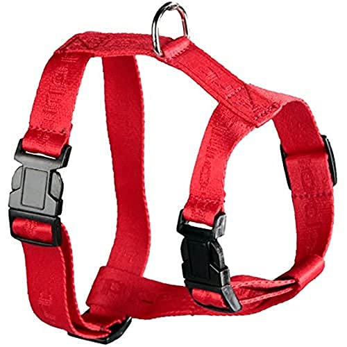 Arppe 415103020001 Geschirr Nylon Sport, Rot von Arppe