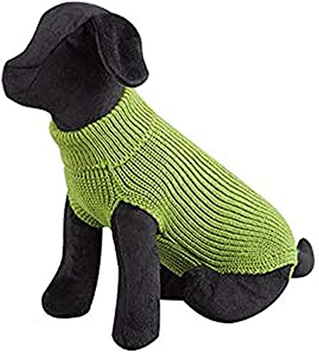 Arppe Jersey Hund 260103 35 grün von Arppe