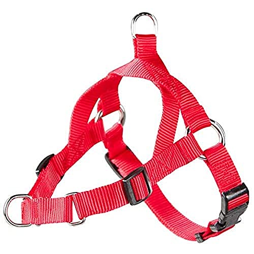 arppe 4164012501 Pädagogische Gurtzeug 2 Verwendet arppe 4164012501 Pädagogische Gurtzeug 2 Verwendet von Arppe