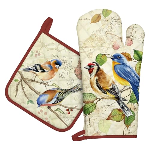 Arquiel Ofenhandschuh und Topflappen 2er Set, 100% Baumwolle Kochhandschuhe, Hitzebeständiger Küchenhandschuh Zum Kochen Backen Grillen Geschenk,Retro Vogel von Arquiel