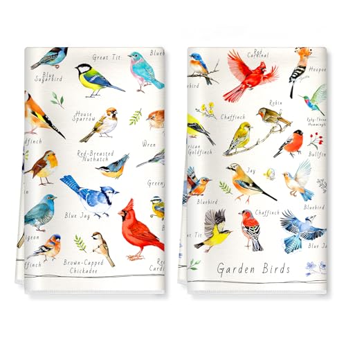 Arquiel Vogelillustrationen Küchentücher Mikrofaser 2 Stück, Bunt Geschirrtücher Küchenhandtuch Saugstarke Sommer Küche Dekoration, Geschenk für Sie und Ihn 40 x 60CM Arquiel Vogelillustrationen Küchentücher Mikrofaser 2 Stück, Bunt Geschirrtücher Küchenhandtuch Saugstarke Sommer Küche Dekoration, Geschenk für Sie und Ihn 40 x 60CM von Arquiel