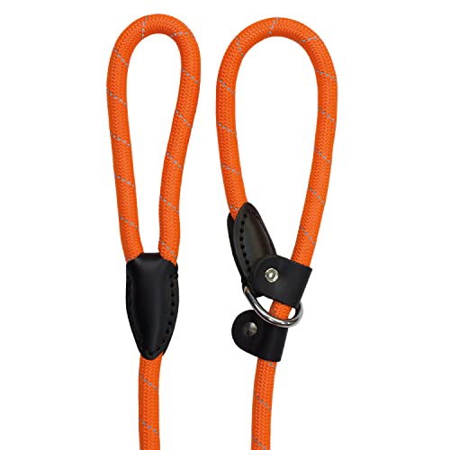 Arquivet 8435117802421 – tiradorcollar Reflektierende Nylon orange 1 x 150 cm von Arquivet