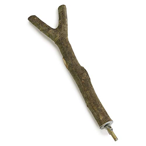 Arquivet 8435117858763 Kleiderbügel Holz Form und 20 cm Arquivet 8435117858763 Kleiderbügel Holz Form und 20 cm von Arquivet