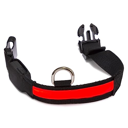 Arquivet - Leuchtendes Halsband für Hunde, LED, Rot, Größe M, 38 – 50 cm, 2,5 cm von Arquivet