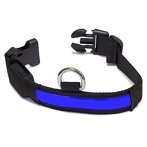 Arquivet - Leuchtendes Hundehalsband LED blau - Größe S 28-40 cm / 2,5 cm von Arquivet