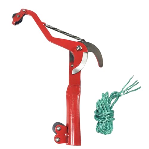 Arroopu Astschere | Stahl Gartenschere Zum Beschneiden Von Pflanzen | Präzisionsschere Für Obstgarten, Garten Und Farm, Bonsaipflege Und Pflanzenschnitt Arroopu Astschere | Stahl Gartenschere Zum Beschneiden Von Pflanzen | Präzisionsschere Für Obstgarten, Garten Und Farm, Bonsaipflege Und Pflanzenschnitt von Arroopu