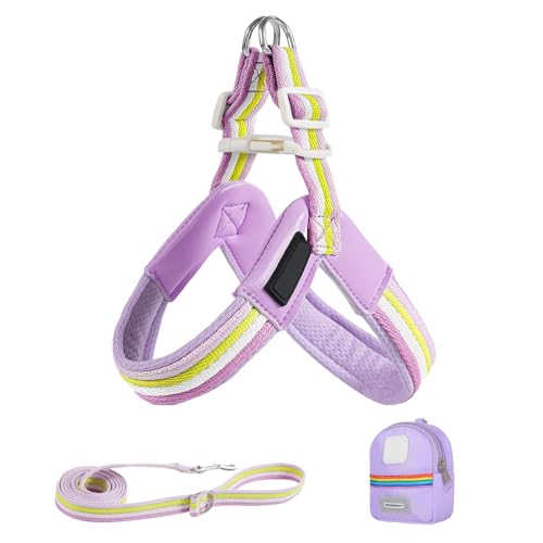 Arroopu Hundegeschirr Und Gurt Set | Verstellbares Geschirr Für Kleine Hunde - Anti-Dreh Tiersicherheitsausrüstung Mit Stauraumbeutel Für Training Spaziergang Camping & Arroopu Hundegeschirr Und Gurt Set | Verstellbares Geschirr Für Kleine Hunde - Anti-Dreh Tiersicherheitsausrüstung Mit Stauraumbeutel Für Training Spaziergang Camping & von Arroopu