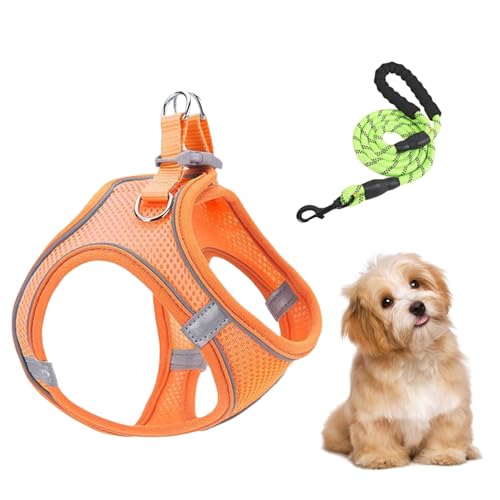 Arroopu Hundegeschirr Und Leine - Netzgeschirr und Hundleinen Kombi - Ausbruchsicheres Welpen Katzen Weste Mit Reflektierenden Gurten Für Wanderungen Camping Ausflüge Outdoor von Arroopu