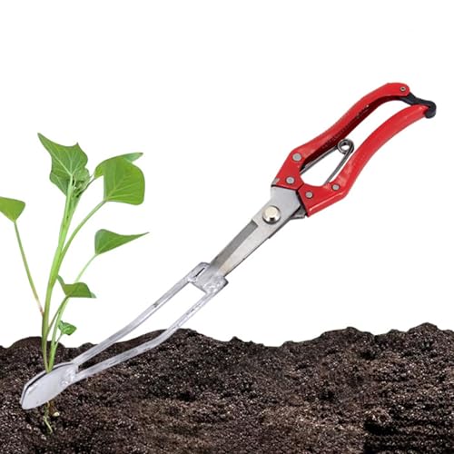 Arroopu Pflanzhilfe Für Setzlinge - Handliches Gartengerät | Gartenhelfer Für Gemüsebeete Gewächshaus Zuhause Balkon Terrasse Urban Arroopu Pflanzhilfe Für Setzlinge - Handliches Gartengerät | Gartenhelfer Für Gemüsebeete Gewächshaus Zuhause Balkon Terrasse Urban von Arroopu