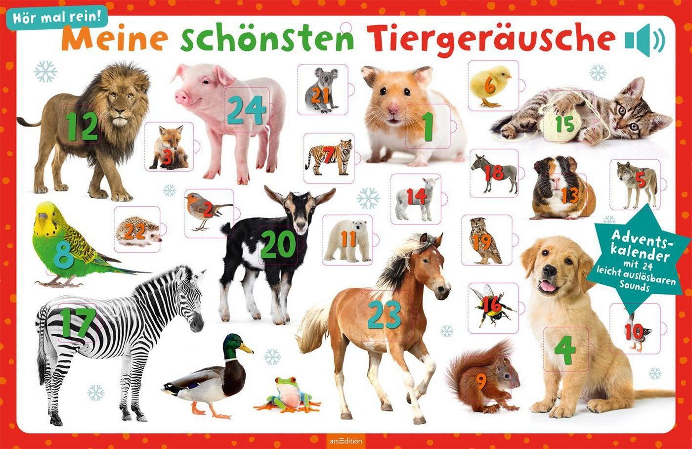 Ars Edition Adventskalender Meine schönsten Tiergeräusche von Ars Edition