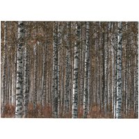 Art for the home Leinwandbild "Outdoor Birkenwald 50x70cm", (1 St.) von Art For The Home