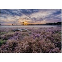 Art for the home Leinwandbild "Outdoor Lavendel 50x70cm" Romantisch 1 Stk. tlg. Leinwand für draußen - Lavendelfeld - 50x70cm von Art For The Home