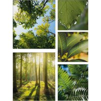 Art for the home Leinwandbild "Pure Natur", Landschaft, (Set) von Art For The Home