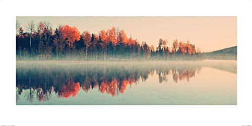 Andreas Stridsberg "Forest Reflections 50 x 100cm Kunstdruck von Art Group