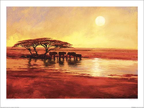 Jonathan Sanders "The Watering Hole 60 x 80cm Kunstdruck von Art Group