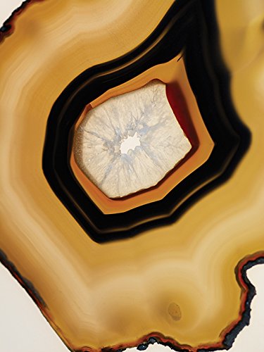 Michael Banks Leinwanddruck, Mehrfarbig, 60 x 80 cm Michael Banks Leinwanddruck, Mehrfarbig, 60 x 80 cm von Art Group