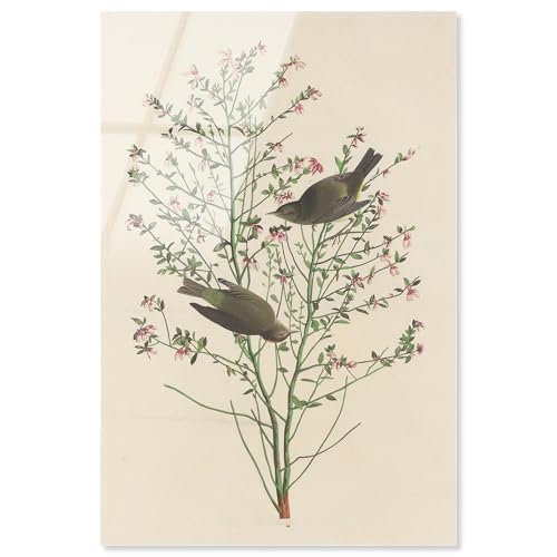 Airy Thicket Acryldruck Botanical Art by Art Remedy fertig zum Aufhängen 20 x 30 von Art Remedy