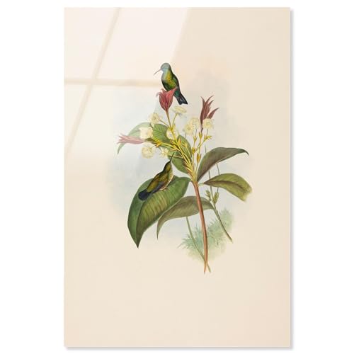 Art Remedy Ätherische Besucher Acryldruck, Botanische Kunst, fertig zum Aufhängen, 10 x 15 cm von Art Remedy