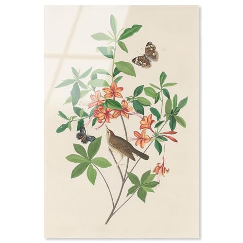 Art Remedy Acryldruck, Motiv: Orange Azalee, Botanische Kunst, fertig zum Aufhängen, 40,6 x 61 cm von Art Remedy