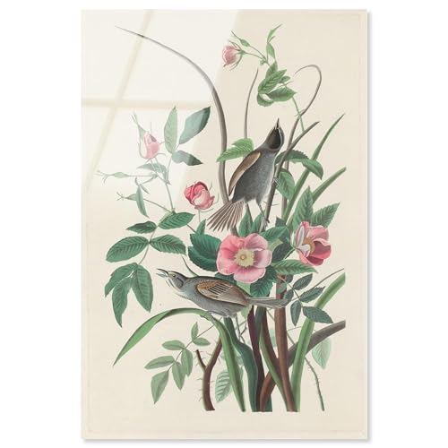 Art Remedy Acryldruck "Seaside Fink", botanische Kunst, fertig zum Aufhängen, 40,6 x 61 cm Art Remedy Acryldruck "Seaside Fink", botanische Kunst, fertig zum Aufhängen, 40,6 x 61 cm von Art Remedy