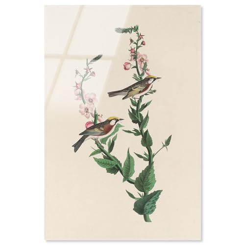 Art Remedy Acryldruck mit Kastanienstreifen, Botanische Kunst, fertig zum Aufhängen, 40,6 x 61 cm Art Remedy Acryldruck mit Kastanienstreifen, Botanische Kunst, fertig zum Aufhängen, 40,6 x 61 cm von Art Remedy