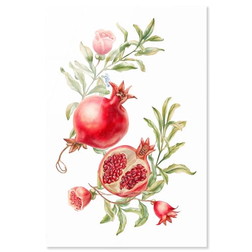 Art Remedy Granatapfel Bloom II Acryldruck, Sommer-Kunstdrucke von Art Remedy, fertig zum Aufhängen, 20 x 30 cm Art Remedy Granatapfel Bloom II Acryldruck, Sommer-Kunstdrucke von Art Remedy, fertig zum Aufhängen, 20 x 30 cm von Art Remedy