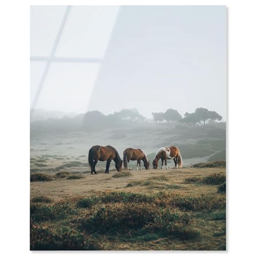 Art Remedy Misty Pasture Acryldruck, Bauernhaus-Kunst von Art Remedy, fertig zum Aufhängen, 24 x 30 cm Art Remedy Misty Pasture Acryldruck, Bauernhaus-Kunst von Art Remedy, fertig zum Aufhängen, 24 x 30 cm von Art Remedy