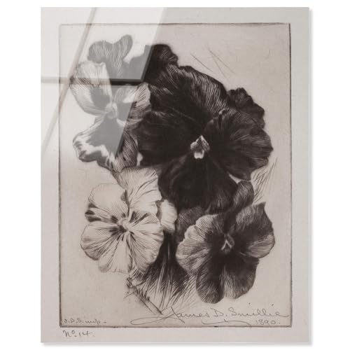 Art Remedy Viktorianische Stiefmütterchen Acryldruck, Vintage-Kunst, fertig zum Aufhängen, 24 x 30 cm Art Remedy Viktorianische Stiefmütterchen Acryldruck, Vintage-Kunst, fertig zum Aufhängen, 24 x 30 cm von Art Remedy