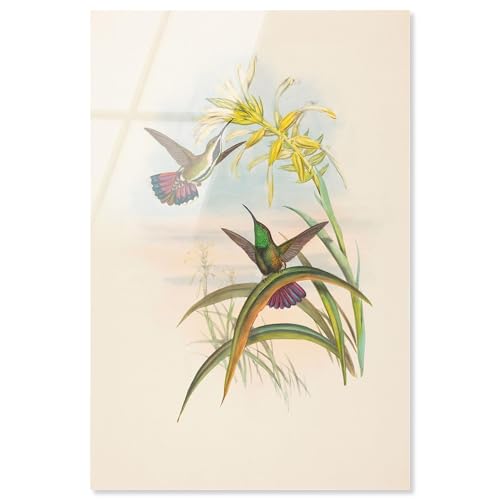 Flash of Magenta Acryldruck Botanical Art by Art Remedy fertig zum Aufhängen 20x30 von Art Remedy