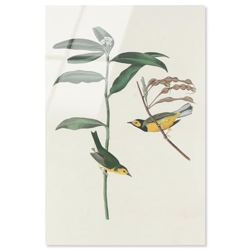 Forest Dialogue Acryldruck, Botanische Kunst von Art Remedy, fertig zum Aufhängen, 10 x 15 cm von Art Remedy