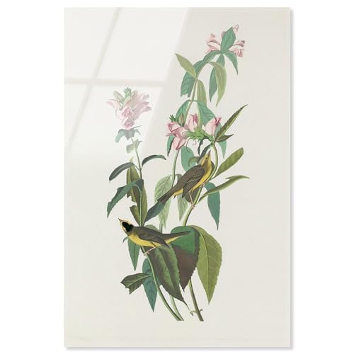 Fröhliches Paar Acryldruck Botanical Art von Art Remedy fertig zum Aufhängen 10x15 Fröhliches Paar Acryldruck Botanical Art von Art Remedy fertig zum Aufhängen 10x15 von Art Remedy