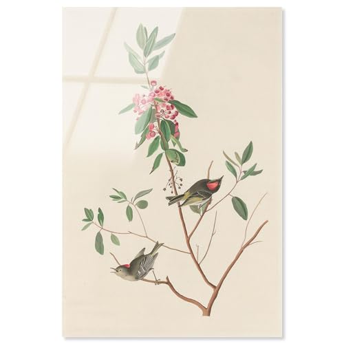 Mountain Laurel Acryldruck Botanische Kunst von Art Remedy fertig zum Aufhängen, 10 x 15 cm Mountain Laurel Acryldruck Botanische Kunst von Art Remedy fertig zum Aufhängen, 10 x 15 cm von Art Remedy