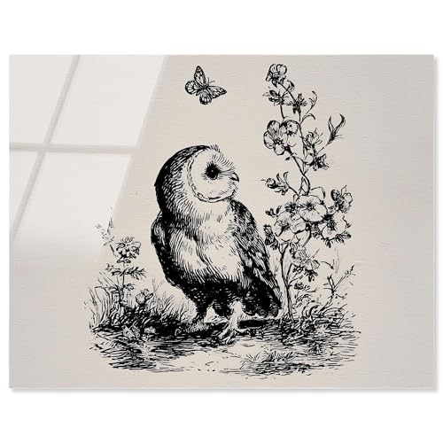 Owlito I Acryldruck Tier-Illustrationen von Art Remedy, fertig zum Aufhängen, 30 x 24 cm Owlito I Acryldruck Tier-Illustrationen von Art Remedy, fertig zum Aufhängen, 30 x 24 cm von Art Remedy