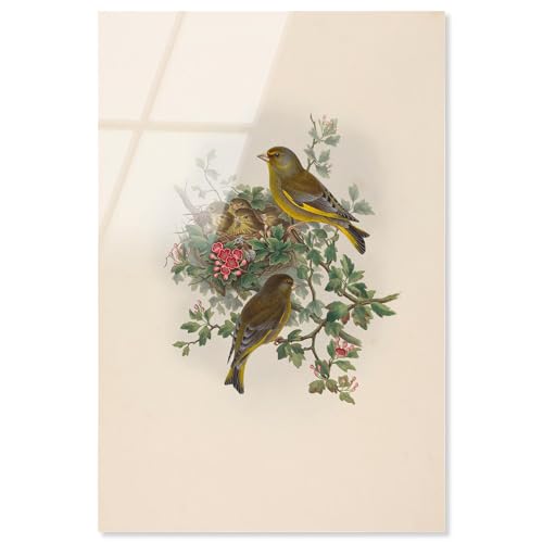 Poem of New Life Acryldruck, Botanische Kunst von Art Remedy, fertig zum Aufhängen, 16 x 24 cm Poem of New Life Acryldruck, Botanische Kunst von Art Remedy, fertig zum Aufhängen, 16 x 24 cm von Art Remedy