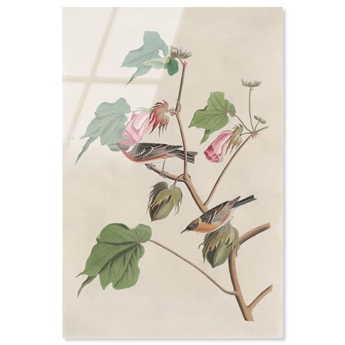 Softness of Things Acryldruck, Botanische Kunst von Art Remedy, fertig zum Aufhängen, 10 x 15 Softness of Things Acryldruck, Botanische Kunst von Art Remedy, fertig zum Aufhängen, 10 x 15 von Art Remedy