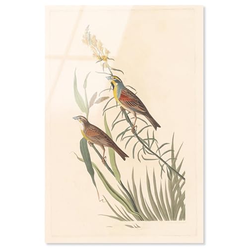 Tallgrass Paar Acryldruck Botanical Art von Art Remedy fertig zum Aufhängen, 20 x 30 cm Tallgrass Paar Acryldruck Botanical Art von Art Remedy fertig zum Aufhängen, 20 x 30 cm von Art Remedy