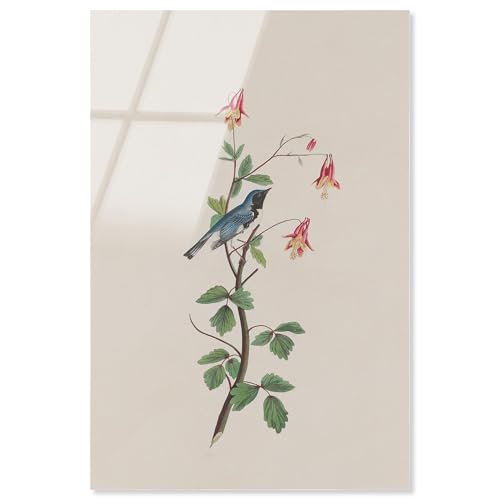 Woodland Gem Acryldruck, botanische Kunst von Art Remedy, fertig zum Aufhängen, 20 x 30 cm Woodland Gem Acryldruck, botanische Kunst von Art Remedy, fertig zum Aufhängen, 20 x 30 cm von Art Remedy