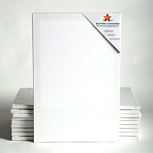DESIGN DELIGHTS 10x UNIVERSITY KEILRAHMEN 40x60 cm | Leinwände auf Keilrahmen | Holzrahmen mit vorgrundiertem Leinwandtuch zum Malen DESIGN DELIGHTS 10x UNIVERSITY KEILRAHMEN 40x60 cm | Leinwände auf Keilrahmen | Holzrahmen mit vorgrundiertem Leinwandtuch zum Malen von Art-Star