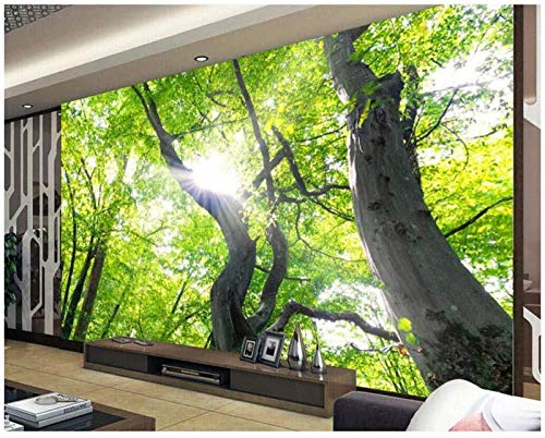 ZZXIAO Große Tapete-Naturlandschaft Sonne durch Wald-Fototapete-3D Wohnzimmer TV Wandtapete wandpapier foto wandpapier fototapete 3d effekt tapete Wohnzimmer Schlafzimmer Hintergrundbild-250cm×170cm von Art Wallpaper