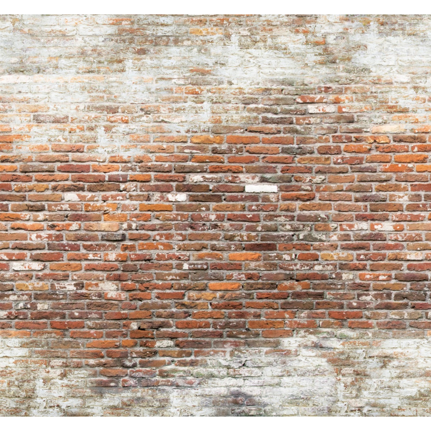 Art for the Home Fototapete Brick wall 2 280 x 300 cm von Art for the Home